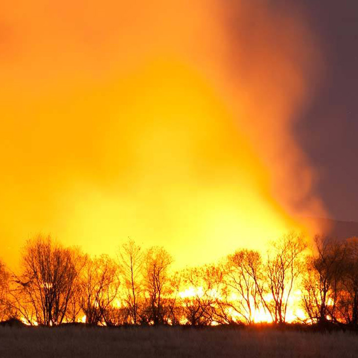 火災(zāi)公眾責(zé)任保險(xiǎn)